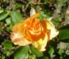 pb190491_small.jpg